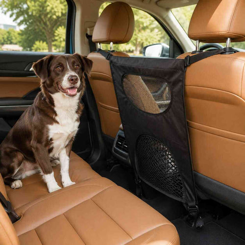 AutoPlus generated pet barrier lifestyle